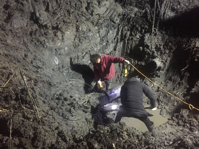 ���Ǯ������ - ��ȫ֧������|��������Ǯ��ƽ̨