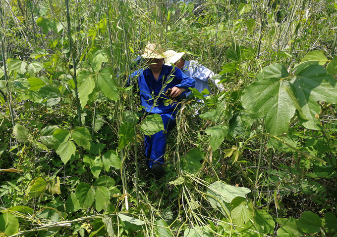 ���Ǯ������ - ��ȫ֧������|��������Ǯ��ƽ̨