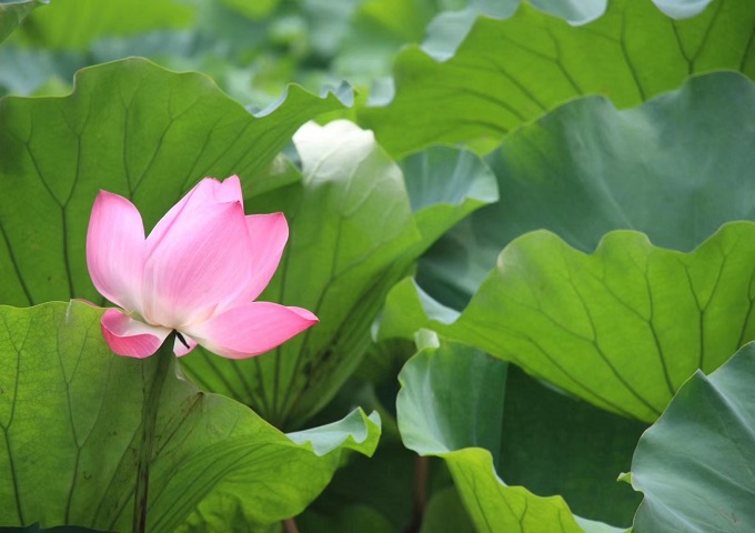 ���Ǯ������ - ��ȫ֧������|��������Ǯ��ƽ̨